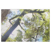 Eukalyptus Gum Trees Stoff (Fat Quarter (45,7 x 55,9 cm))