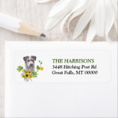 Eukalyptus-Jack Sunflower Russell Terrier (Insitu)