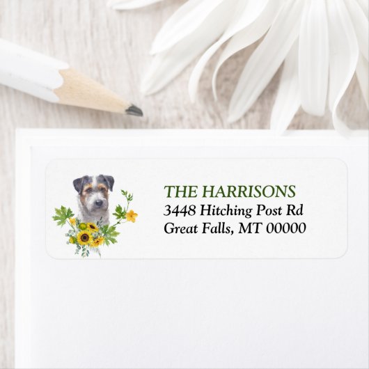 Eukalyptus-Jack Sunflower Russell Terrier (Insitu)