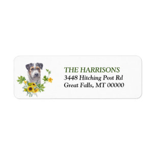 Eukalyptus-Jack Sunflower Russell Terrier