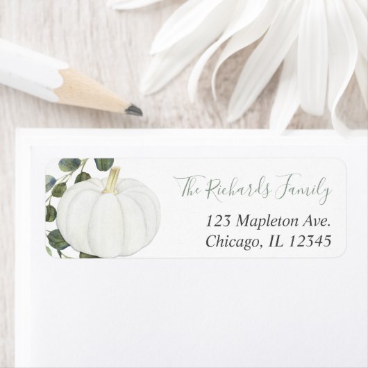 Eukalyptus-Kürbis-Kürbispflanzen (Insitu)