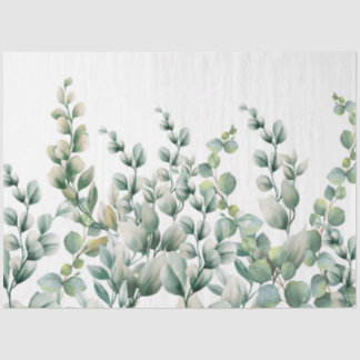 Eukalyptus-Leaf Seidenpapier