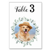 Eukalyptus Modernes elegantes Foto Hochzeit Tischnummer (Rückseite)