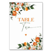 Eukalyptus-Orangen-Zitrusfrüchte-Tischnummer Zwei Tischnummer (Rückseite)