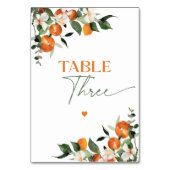 Eukalyptus oranges citrus thematische Tischnummer (Rückseite)