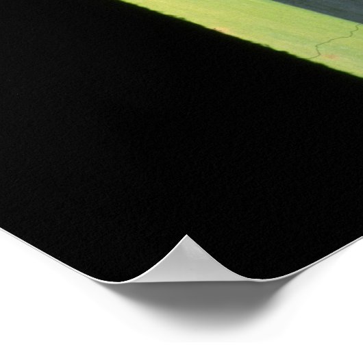 Eukalyptus Poster (Ecke)