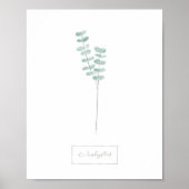 Eukalyptus-Poster Poster (Vorne)