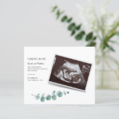 Eukalyptus Pregnancy Baby Reveal (Stehend Vorderseite)