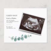 Eukalyptus Pregnancy Baby Reveal (Vorderseite)