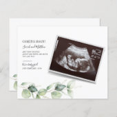Eukalyptus Pregnancy Baby Reveal Script (Vorne/Hinten)
