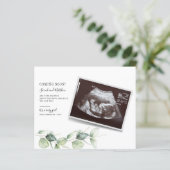 Eukalyptus Pregnancy Baby Reveal Script (Stehend Vorderseite)