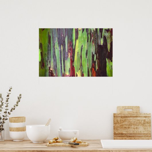 Eukalyptus rainbow 1 poster (Küche)