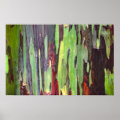 Eukalyptus rainbow 1 poster (Vorne)