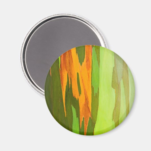 Eukalyptus-Rainbow-Rinde, Hawaii Magnet (Vorderseite/Rückseite)
