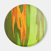 Eukalyptus-Rainbow-Rinde, Hawaii Magnet (Vorne)