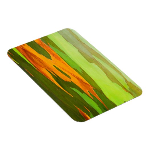 Eukalyptus-Rainbow-Rinde, Hawaii Magnet (Rechte Seite)