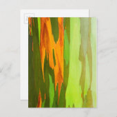 Eukalyptus-Rainbow-Rinde, Hawaii Postkarte (Vorne/Hinten)