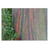Eukalyptus-Regenbogen Schneidebrett (Vorderseite)