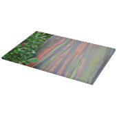 Eukalyptus-Regenbogen Schneidebrett (Ecke)