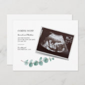 Eukalyptus Schwangerschaft Geschlecht Reveal Baby  (Vorne/Hinten)