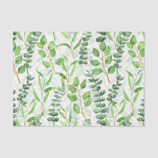 Eukalyptus Seidenpapier (Vorderseite)