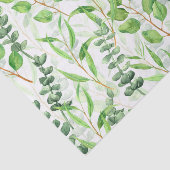 Eukalyptus Seidenpapier (Ausschnitt)