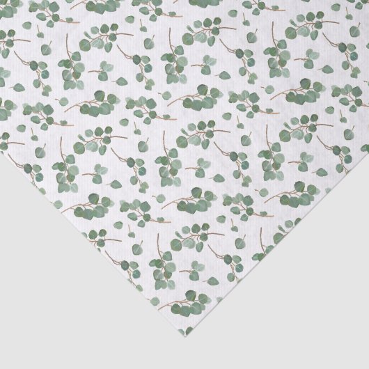 Eukalyptus-silberner Dollar-Baum-Laub-Muster Seidenpapier (Ausschnitt)