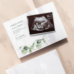 Eukalyptus Sonogram Pregnancy Ankündigung