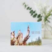 Eukalyptus Tree Stump Blue Sky Postcard Postkarte (Stehend Vorderseite)