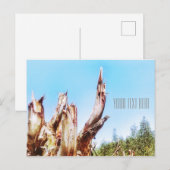Eukalyptus Tree Stump Blue Sky Postcard Postkarte (Vorne/Hinten)