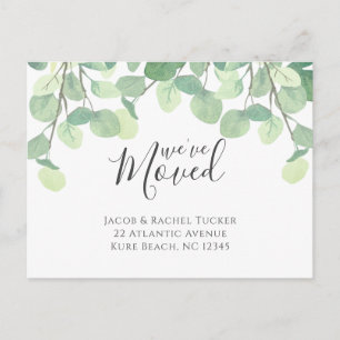 Eukalyptus Wir haben uns bewegende Ankündigung ver Postkarte