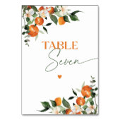 Eukalyptusorangen Zitrusfrüchte Tischnummer Seven (Rückseite)