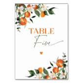 Eukalyptusorangen Zitrusthema Tischnummer fünf (Rückseite)