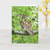 Eukalyptusvogel Karte (Gelbe Blume)