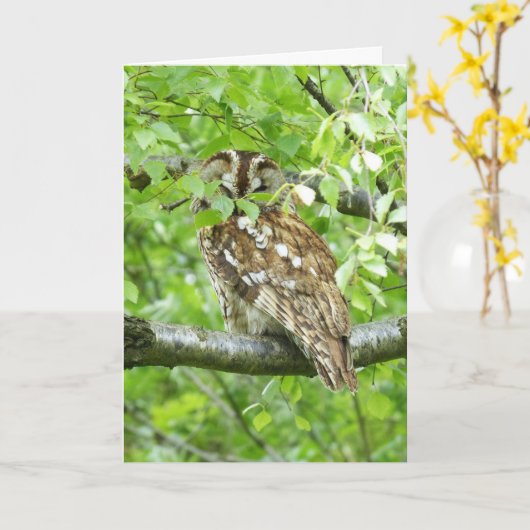 Eukalyptusvogel Karte (Gelbe Blume)