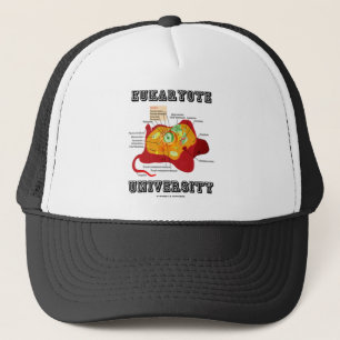 Eukaryote-Universität (Tierzelle) Truckerkappe