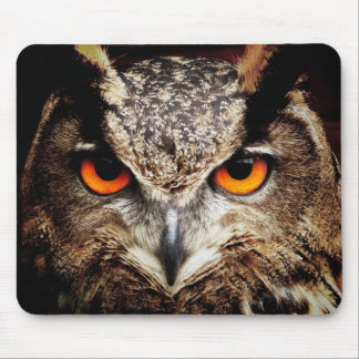 Eule 3 Mousepads