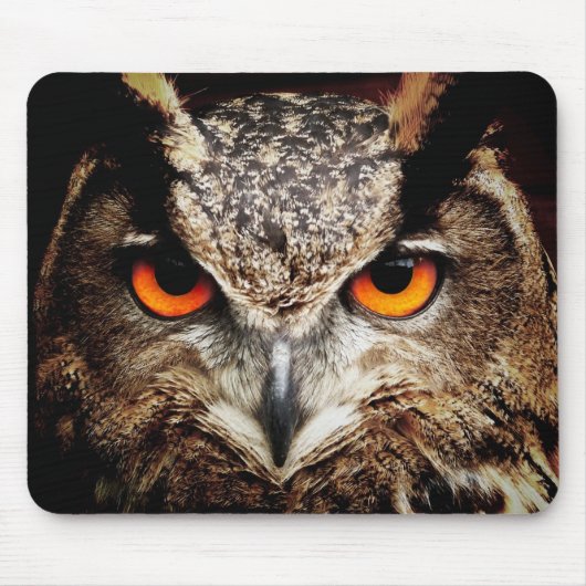 Eule 3 Mousepads (Vorne)