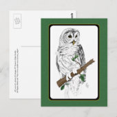 Eule 3 Postkarte (Vorne/Hinten)