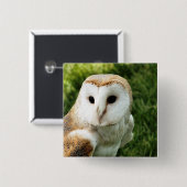 EULE BUTTON (Vorne & Hinten)