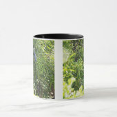 Eule, die auf einem Baum hockt Tasse (Zentrum)