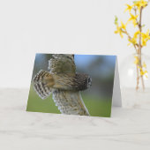 Eule, die vorbei fliegt karte (Gelbe Blume)