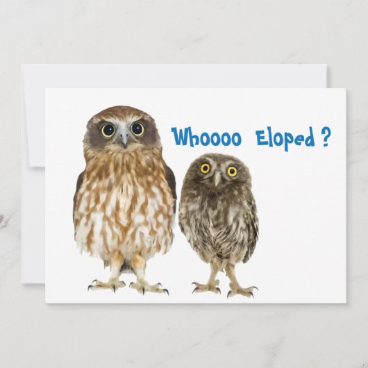 Eule Duo, die gekocht Ankündigung (Vorderseite)