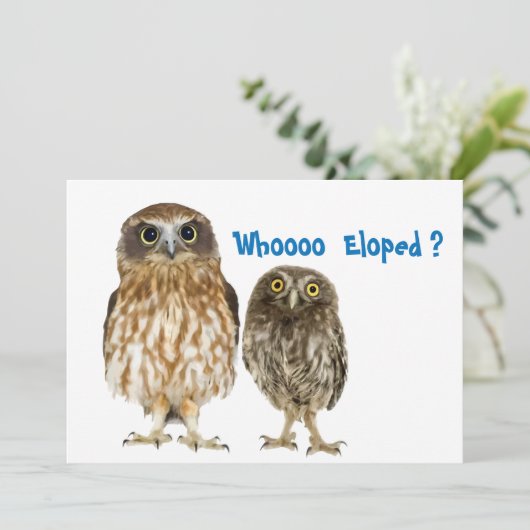 Eule Duo, die gekocht Ankündigung (Stehend Vorderseite)