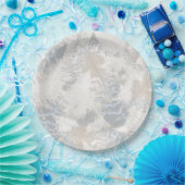 Eule Feathers, grau, beige und blau, Vogel, Licht, Pappteller (Party)