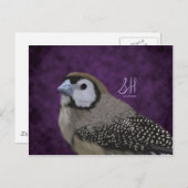 Eule Finch Postkarte (Vorne/Hinten)