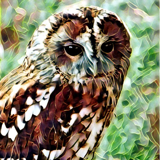 EULE FLASCHENÖFFNER