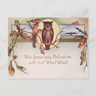 Eule Fledermaus Herbst Farbige Blätter Blatt Postkarte