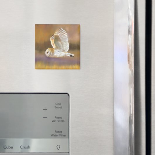 Eule Fliegender Magnet (In Situ (Kühlschrank))