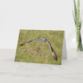 Eule fliegt dich an karte (Vorderseite)